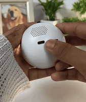 MemoryOrb™: 3D Video Display Experience